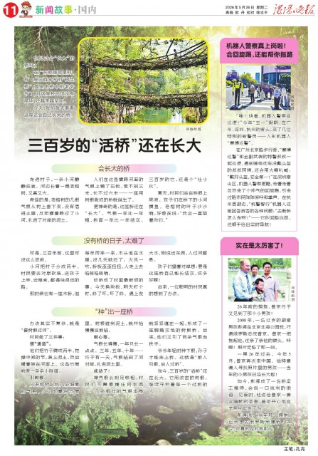 第A11版:新闻故事·国内