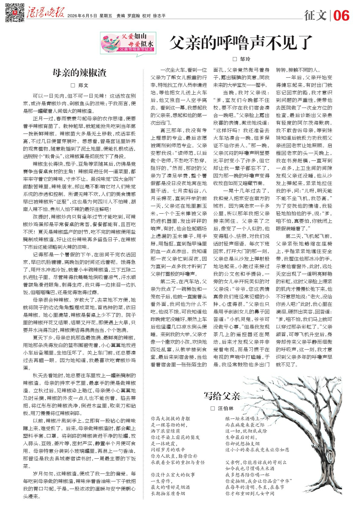 第A06版:征文