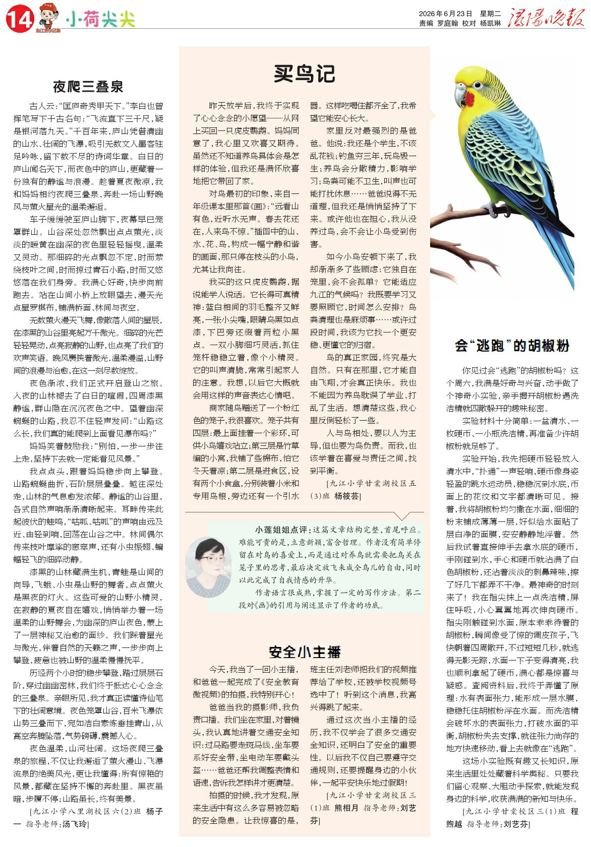 第A14版:小荷尖尖