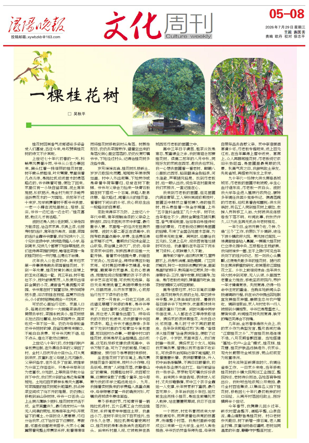 第A0508版:文化周刊